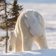 Image: Daisy Gilardini/Comedy Wildlife Photo Awards